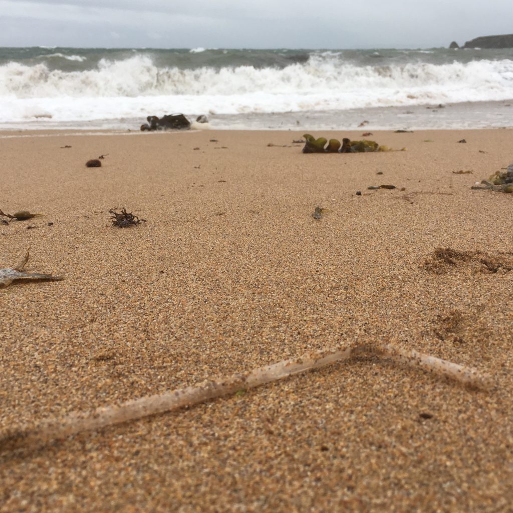 Plastic Straw On A Beach - Less Plastic